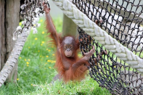 Visit-Auckland-Zoo-2