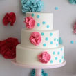 Ruffles-Confetti-110