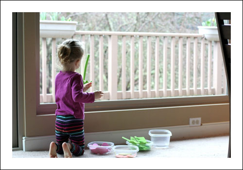 Foam Window Art - Babybites.co.nz