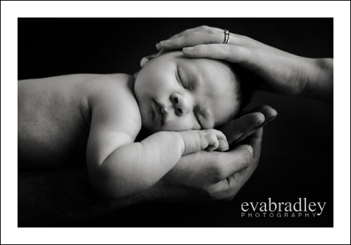 Newborn Photographers New Zealand