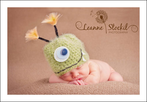 Newborn Photographers New Zealand