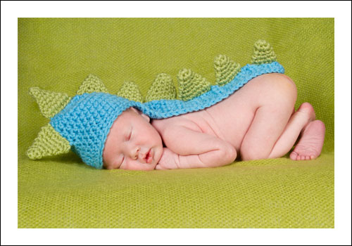 Newborn Photographers New Zealand