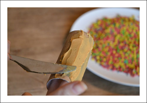 Rainbow Bird Feeder