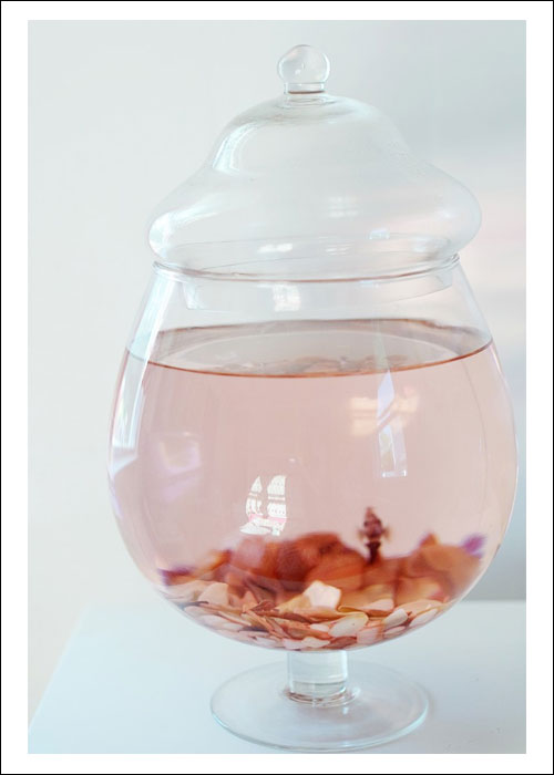 Fish in a jar