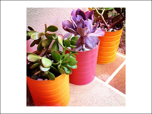 Upcycled Formula Tins - Planters