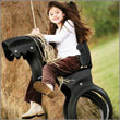 WildCreations_HorseSwing_110.jpg