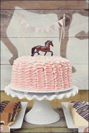 Party Idea - horse theme